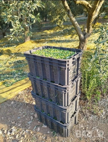 Зехтинът вече има име и лице. 🥇 FAGITAKI – екстра върджин зехтин от Гърция  , снимка 8 - Други - 52914743