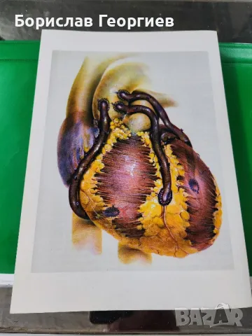 Хобито ми бе хирургията

Йовчо Б. Топалов

, снимка 4 - Специализирана литература - 49525386