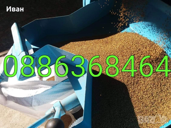 Продава люцерново семе, ( семе от люцерна), снимка 2 - За селскостопански - 52821888