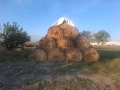 Продавам бали овес, снимка 1
