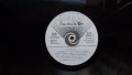 Грамофонна плоча-Познахте ли ...?, снимка 3