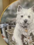 Колекционерска чиния от серия “Westies”., снимка 3