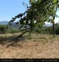 Парцел в вилната зона на Прилепци, снимка 5