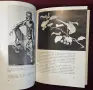 Chinese Art - илюстрирана история, снимка 12
