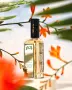 1804 Histoires de Parfums , снимка 4
