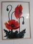 Рисувани картини с макове 41/31 см. , снимка 3