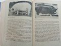 Животновъдство - Д.Димитров,П.Цонев - 1974 г., снимка 9