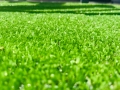 Бургас - Изкуствена трева на 2м и 4м, снимка 3