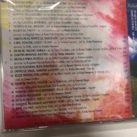 Магията на Родопа планина, снимка 2 - CD дискове - 37746933