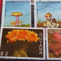 Пощенски марки серия Растения, Гъби стари редки за колекция декорация - 22024, снимка 2 - Филателия - 36641512