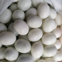 изкуствени пластмасови яйца за гълъби, снимка 1 - Гълъби - 35285815