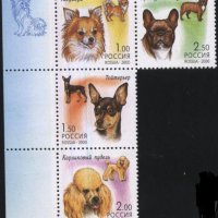Чисти марки Фауна Кучета 2000 от Русия, снимка 1 - Филателия - 42144757