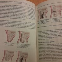 Имплантологията в общата стоматологична практика- Сиърсън, Гауф, Хемингс - 2005г., 102 стр., снимка 6 - Специализирана литература - 42554758