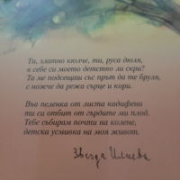 Звезда Илиева Родена в дюлева градина , снимка 2 - Художествена литература - 44698076