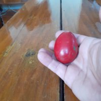 Старо дървено яйце #4, снимка 3 - Други ценни предмети - 31707468