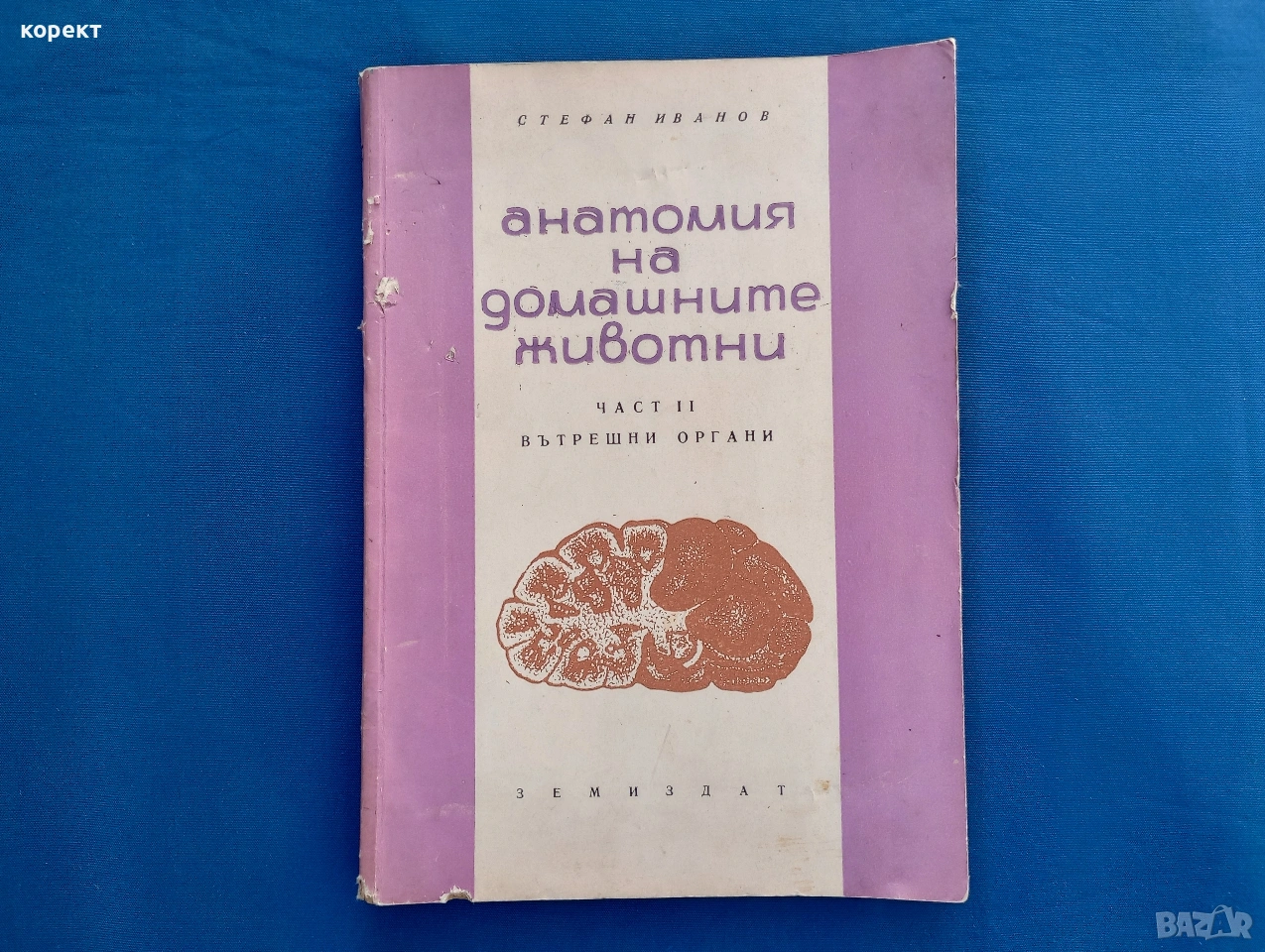 Анатомия на домашните животни , снимка 1