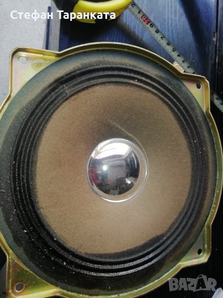 Басов Говорител, снимка 1