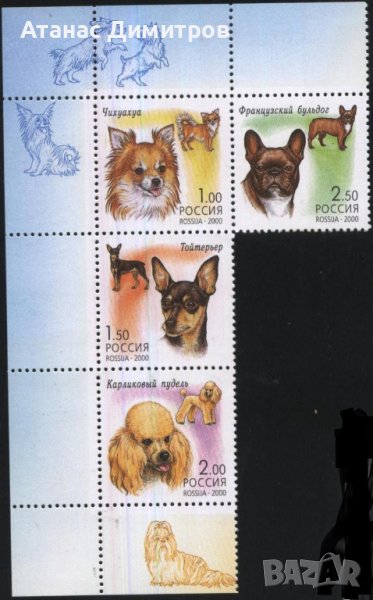 Чисти марки Фауна Кучета 2000 от Русия, снимка 1