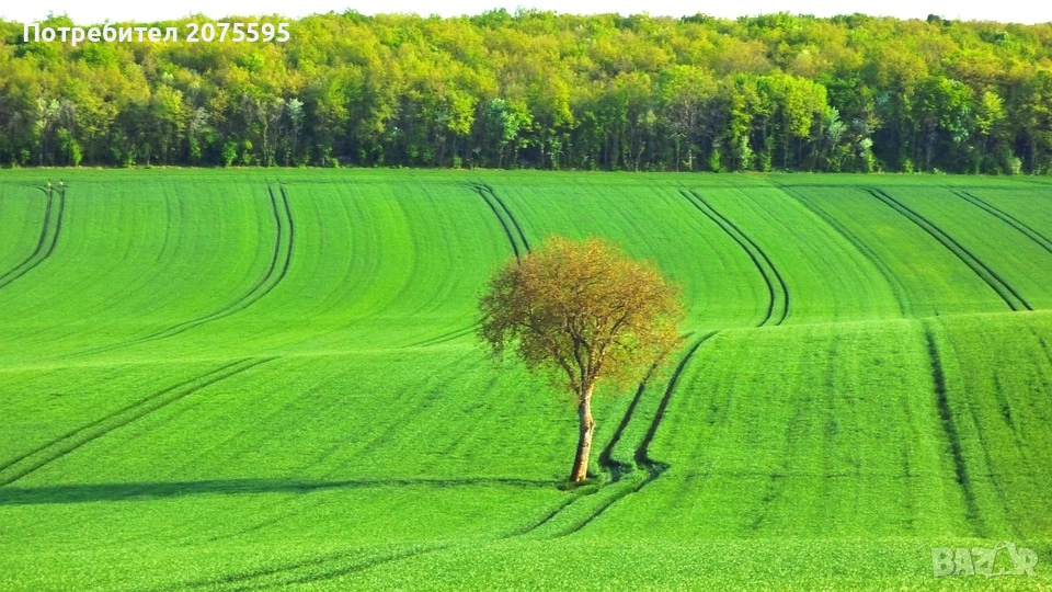 Земеделска земя село Попово, снимка 1