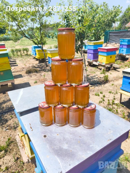 Натурален пчелен мед 2025, снимка 1