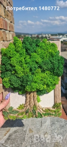 Дърво в рамка със скандинавски мъх, снимка 14 - Декорация за дома - 48071745