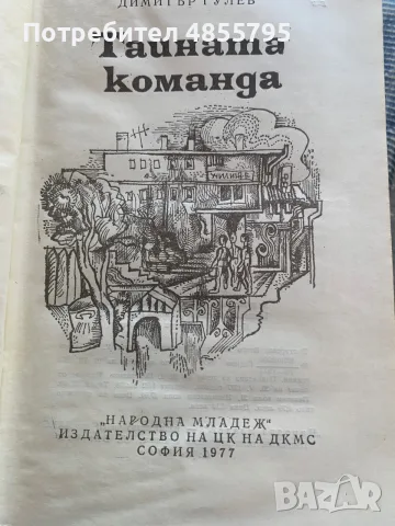 юношески роман „Тайната команда, снимка 2 - Детски книжки - 55801733