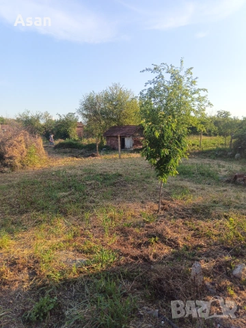 Продавам селска къща с.каменец обл.плевен, снимка 5 - Къщи - 54351128