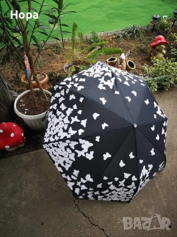 Магически чадъри с пеперуди, снимка 2 - Други - 39756302