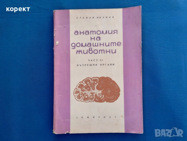 Анатомия на домашните животни 