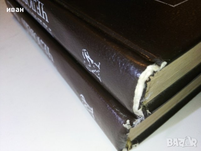 Анатомия Человека 1 и 2 том - Е.Борзяк,Л.Волкова,Е.Доброволская,В.Ревазов,М.Сапин - 1993г., снимка 16 - Специализирана литература - 38687965