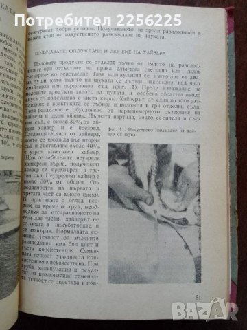 Справочник по рибовъдство, снимка 4 - Специализирана литература - 50501855
