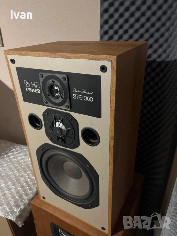 Fisher STE-300, снимка 2 - Тонколони - 52939289