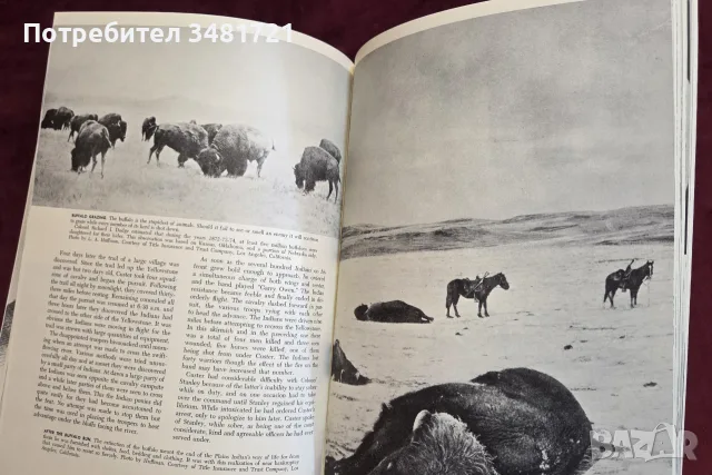 The Custer Album. A Pictorial Biography of General George A. Custer, снимка 11 - Биографии, мемоари и спомени - 55822564