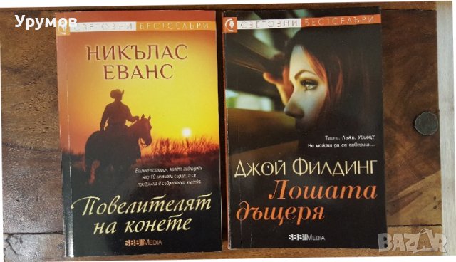 Книги от поредицата „Световни бестселъри” /обновена/, снимка 8 - Художествена литература - 39810067