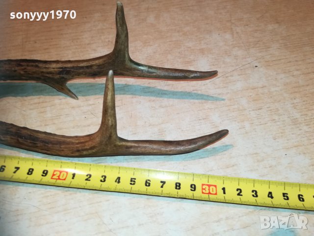 рога-за колекция-внос швеция 1910202200, снимка 14 - Колекции - 30482225