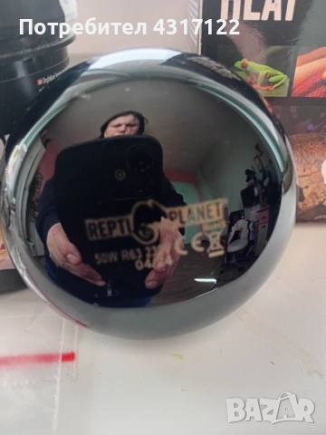 За влечуги и хамелеони и варани, снимка 11 - Други - 54014858