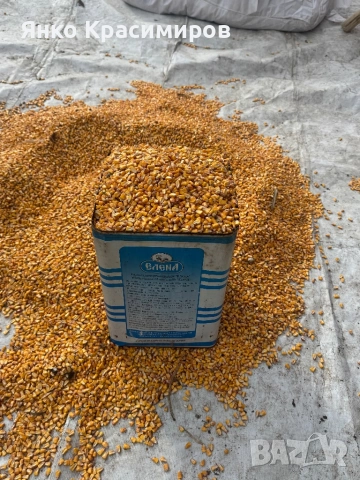  царевица , снимка 3 - За селскостопански - 54016849