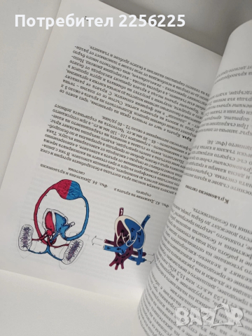 Основи на водолазното дело, снимка 5 - Специализирана литература - 53933829