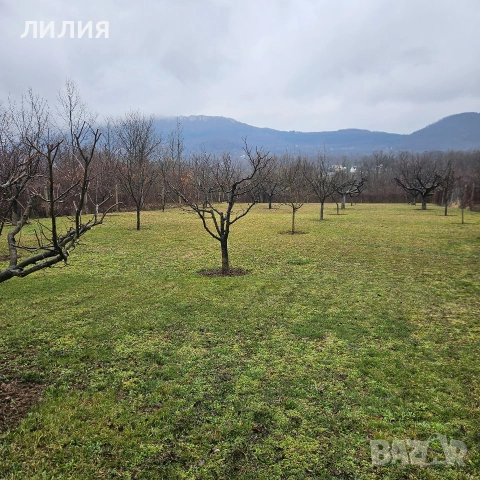 ВИЛЕН ИМОТ, Вачански лозя, м. Янкин връх, снимка 14 - Вили - 53935273