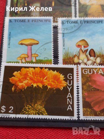 Пощенски марки серия Растения, Гъби стари редки за колекция декорация - 22024, снимка 2 - Филателия - 36641512