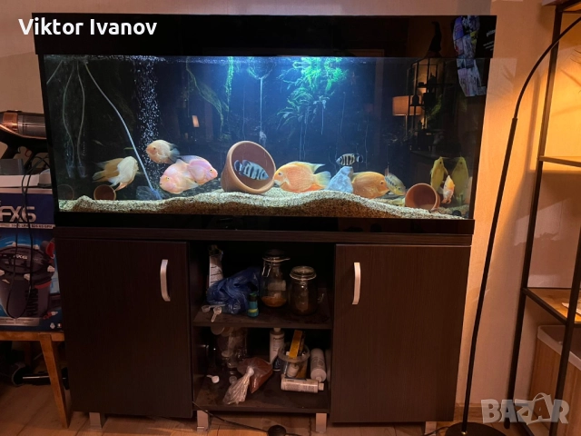 Дизайнерски кантиран аквариум с шкаф, снимка 2 - Аквариуми - 52969222