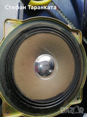 Басов Говорител, снимка 1