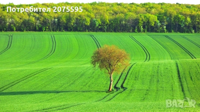 Земеделска земя село Попово