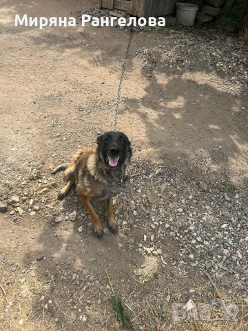 ПРОДАВАТ СЕ!!!, снимка 1