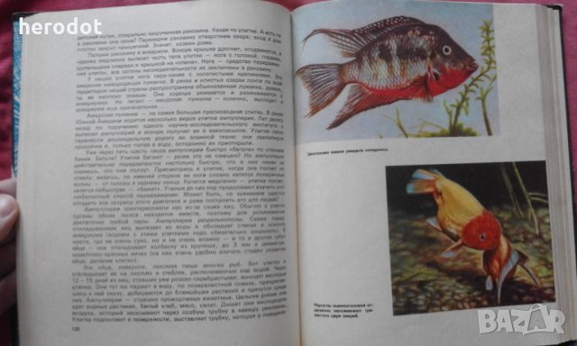 Занимательный аквариум - М. Махлин, снимка 6 - Художествена литература - 31539507