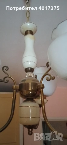 ПОЛИЛЕЙ -класика, снимка 3 - Полилеи - 50681181