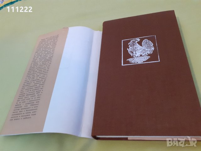 продавам книги българска и световна класика - 8 броя и  фентъзи книга 1 брой, снимка 9 - Художествена литература - 29390763