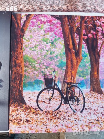 Картина, снимка 2 - Картини - 42147335