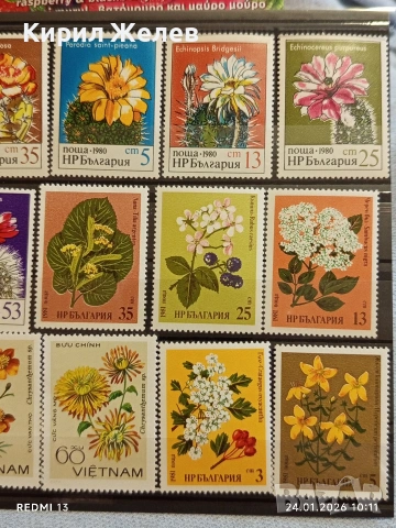 Стари пощенски марки без печат ЦВЕТЯ ВИЕТНАМ,НРБ за КОЛЕКЦИЯ 52072, снимка 3 - Филателия - 53208310