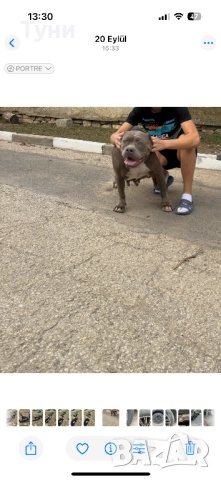 Женско Американско Були XXL